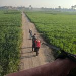 Digital Nomad grounded